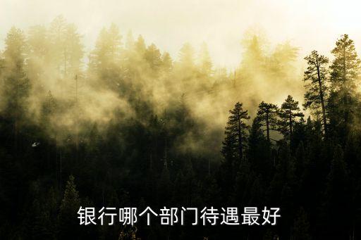 銀行資管部 待遇怎么樣，在工商銀行總行的資產(chǎn)托管部工作待遇怎么樣工作強(qiáng)度怎么樣