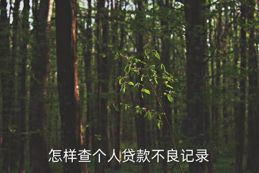 怎樣查個(gè)人貸款不良記錄