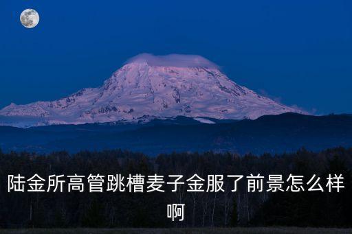 陸金所高管跳槽麥子金服了前景怎么樣啊