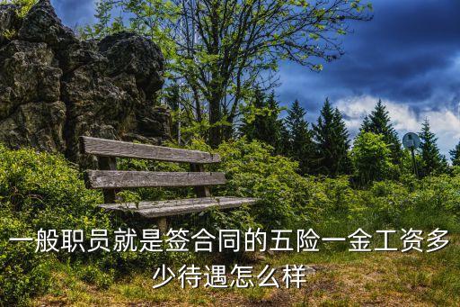 一般職員就是簽合同的五險一金工資多少待遇怎么樣