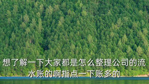 怎么整理賬單，想了解一下大家都是怎么整理公司的流水賬的啊指點一下賬多的