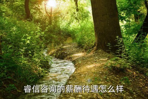 蘇州睿信財富怎么樣，睿信PPP咨詢到底怎么樣啊好不好啊