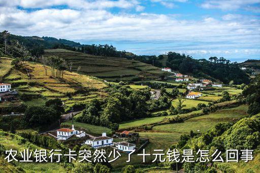 農(nóng)業(yè)銀行卡突然少了十元錢(qián)是怎么回事