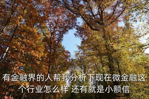 有金融界的人幫我分析下現(xiàn)在微金融這個(gè)行業(yè)怎么樣 還有就是小額信