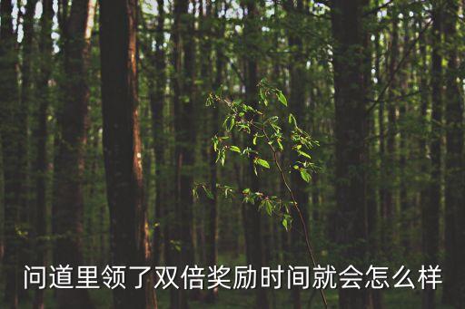 問道里領(lǐng)了雙倍獎勵時間就會怎么樣