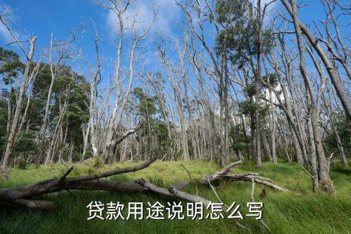 創(chuàng)業(yè)貸款用途怎么寫，貸款用途怎么寫