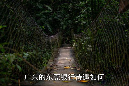 廣東的東莞銀行待遇如何
