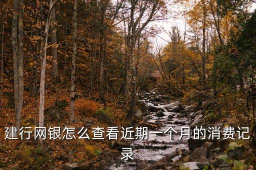 建行網(wǎng)銀怎么查看近期一個月的消費記錄