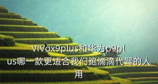 麒麟代駕怎么弄，開代駕公司需要什么有門檻么