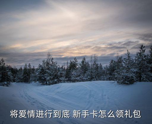 將愛情進行到底 新手卡怎么領禮包