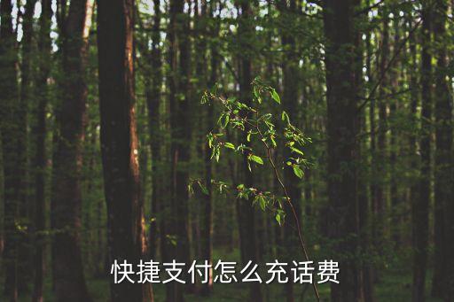 快捷支付怎么充值，我已經(jīng)開通了快捷支付一點(diǎn)通請(qǐng)問(wèn)怎么直接接進(jìn)入進(jìn)行充值啊