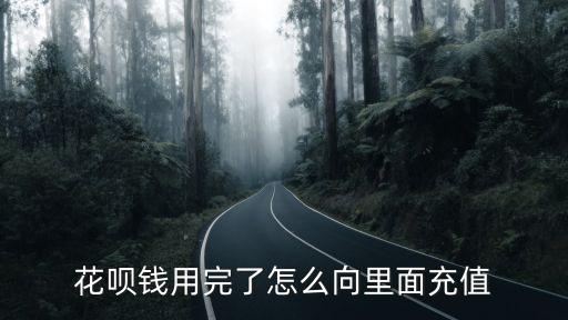 花唄錢用完了怎么向里面充值
