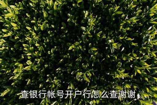怎么查農(nóng)商銀行開(kāi)戶(hù)行，如何查詢(xún)農(nóng)商銀行卡開(kāi)戶(hù)行