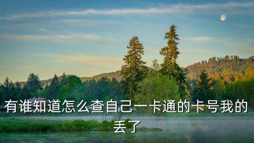 有誰知道怎么查自己一卡通的卡號(hào)我的丟了