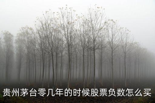 負的股票怎么買，怎么買入股票數(shù)量是負的