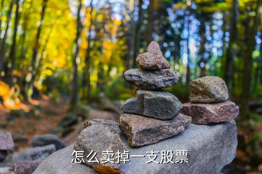 怎么賣(mài)掉一支股票