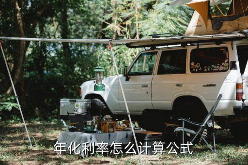年化率怎么算利率，年化利率怎么計(jì)算公式