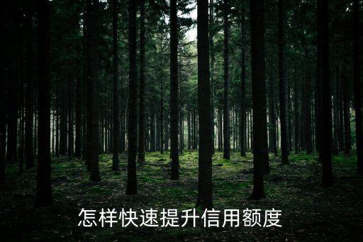 怎樣快速提升信用額度