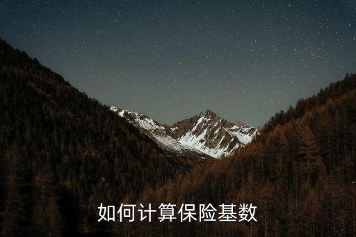 如何計算保險基數(shù)