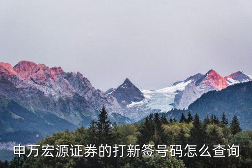 申萬(wàn)宏源怎么查配號(hào)，我申購(gòu)了股票怎么知道我的配號(hào)