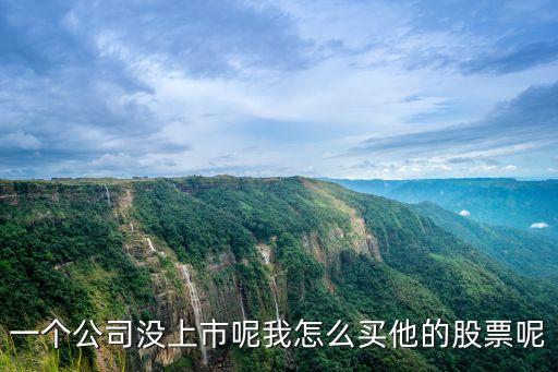 一個公司沒上市呢我怎么買他的股票呢