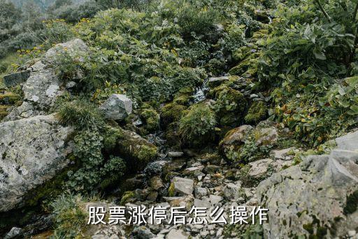 股票漲停后怎么操作