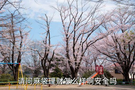 請(qǐng)問麻袋理財(cái)怎么樣啊安全嗎