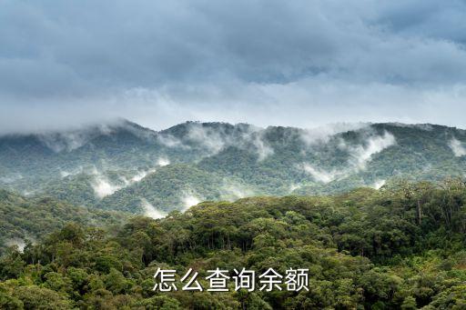 怎么看盛付通的余額，云付通怎么查看余額