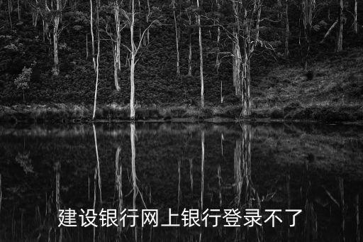 中國(guó)建行網(wǎng)上銀行登錄官網(wǎng)登錄不了怎么辦，建設(shè)銀行網(wǎng)上銀行登錄不了