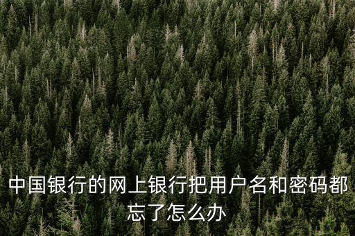 中行卡網銀用戶名忘記了怎么辦，中國銀行網上銀行用戶名忘記怎么辦