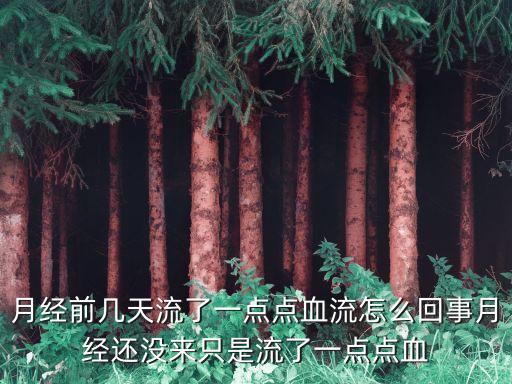 月經前幾天流了一點點血流怎么回事月經還沒來只是流了一點點血