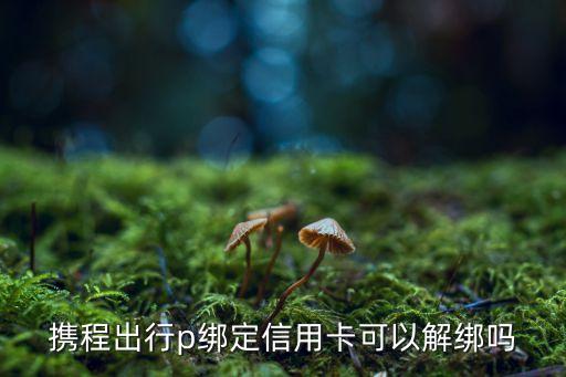 攜程出行p綁定信用卡可以解綁嗎