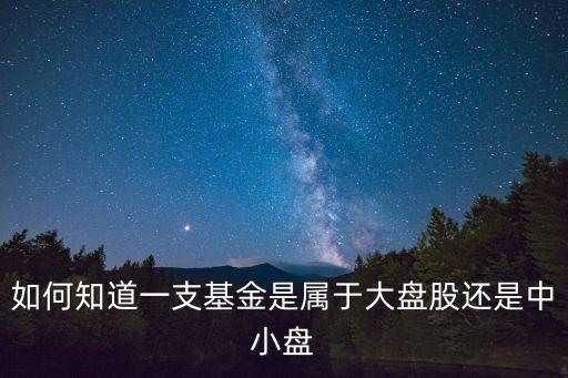 如何知道一支基金是屬于大盤股還是中小盤