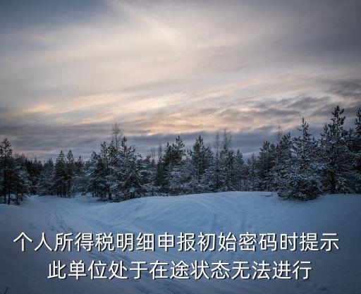 在途申請(qǐng)?jiān)趺椿厥?，平安普惠說我有在途或未結(jié)清申請(qǐng)暫時(shí)無法提交申請(qǐng)是什么意思