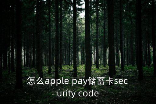 怎么apple pay儲蓄卡security code