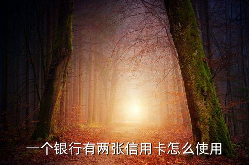 兩張信用卡怎么用的，有兩張建行信用卡怎么用
