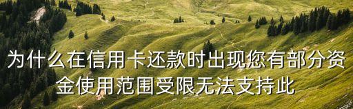 為什么在信用卡還款時(shí)出現(xiàn)您有部分資金使用范圍受限無(wú)法支持此