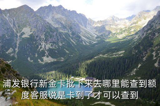 浦發(fā)銀行新金卡批下來去哪里能查到額度客服說是卡到了才可以查到