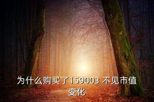 為什么購買了159003 不見市值變化