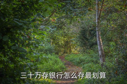 三十萬怎么存最劃算，我家有30萬的現(xiàn)金只想存銀行 怎么存最合算