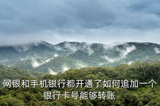 網(wǎng)銀和手機銀行都開通了如何追加一個銀行卡號能夠轉(zhuǎn)賬