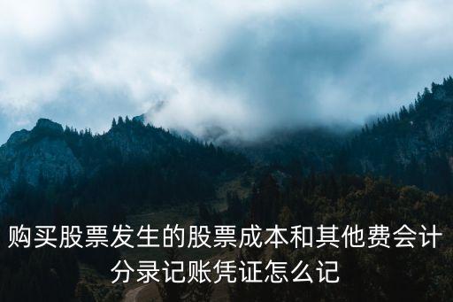 購買股票發(fā)生的股票成本和其他費會計分錄記賬憑證怎么記