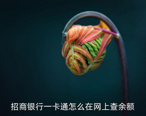 招商銀行一卡通怎么在網(wǎng)上查余額