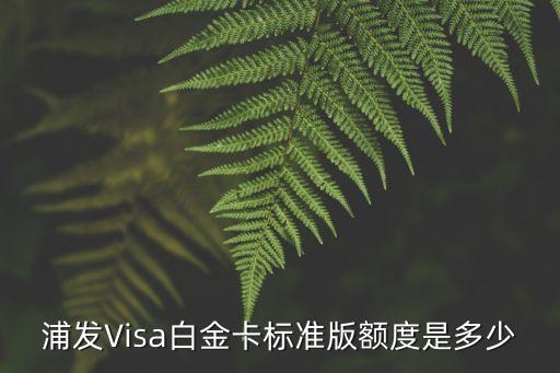 怎么看visa卡額度多少錢，建行龍卡汽車卡VISA主卡華貴版信用卡怎么查額度