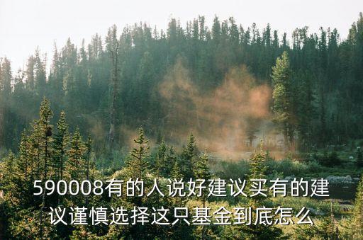 長盛創(chuàng)新先鋒基金怎么樣，590008有的人說好建議買有的建議謹慎選擇這只基金到底怎么
