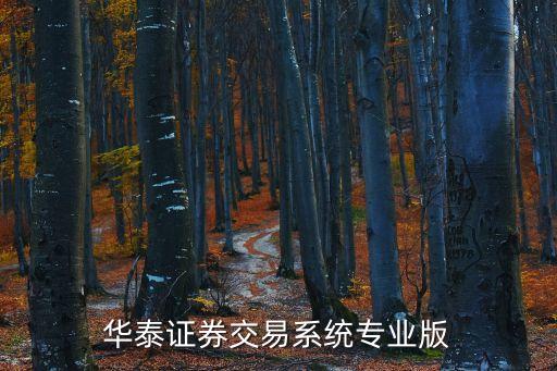 華泰證券交易系統(tǒng)怎么用，華泰證券交易系統(tǒng)專業(yè)版