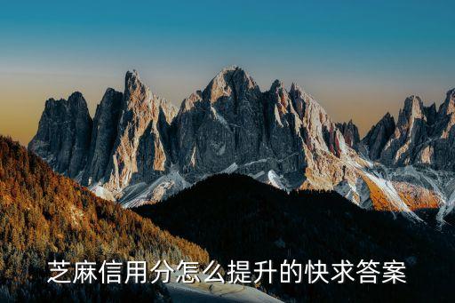 怎么馬上提高芝麻分，芝麻信用分怎么提升的快求答案