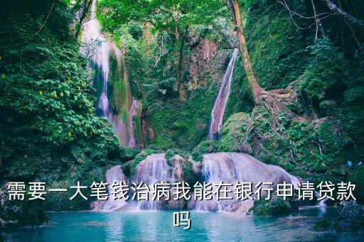 需要一大筆錢治病我能在銀行申請貸款嗎
