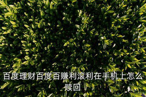 百度百賺怎么贖回，百度理財百度百賺利滾利在手機上怎么贖回