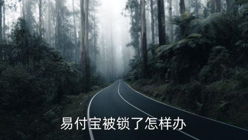 易付寶賬戶凍結(jié)怎么辦，易付寶登錄首頁y易付寶賬號被凍結(jié)咋辦